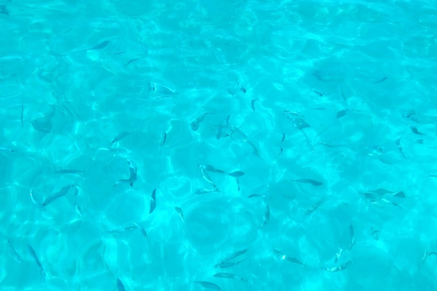 From San Leone: Private Bluefin Tuna Fishing Experience