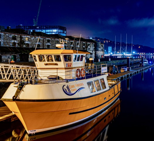 Visit Cork 2-Hour Guided Cork Harbour Scenic Cruise in Cobh, Ireland
