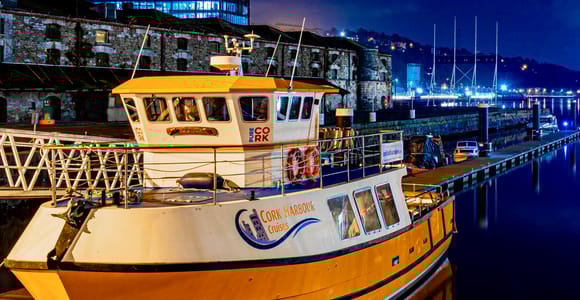 Cork: 2-stündige geführte Rundfahrt durch den Hafen von Cork