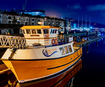 Cork: 2-stündige geführte Rundfahrt durch den Hafen von Cork