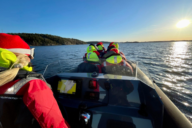 Estocolmo: Passeio de barco RIB de 2 horas pelo arquipélago