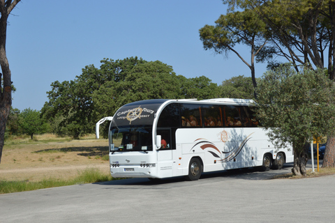 From Rhodes: Bus Tour to Lindos and the Seven Springs