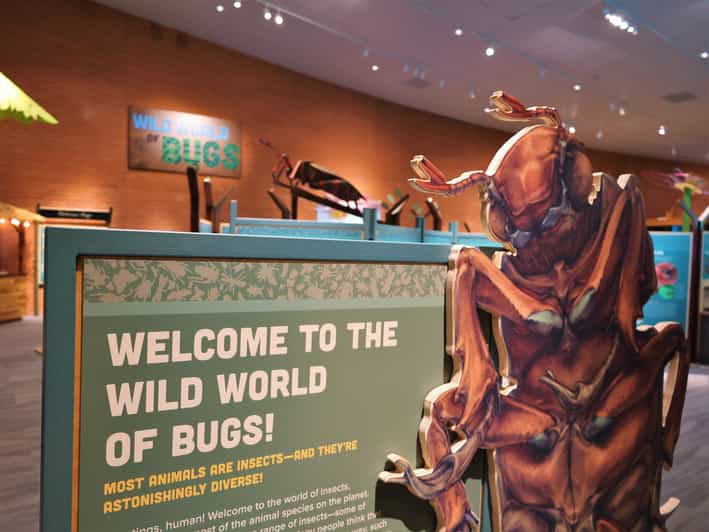 Tucson Eintrittskarte für das Flandrau Science Center GetYourGuide