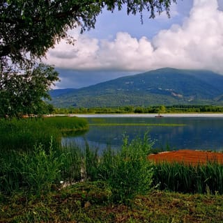 Istanbul: Full-Day Sapanca Lake and Masukiye Tour with Lunch