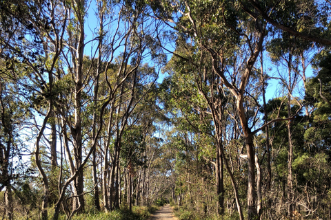 From Hobart: Bruny Island Nature and Produce Full-Day Tour