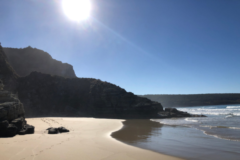 Desde Hobart: excursión de día completo a la naturaleza y los productos de Bruny Island