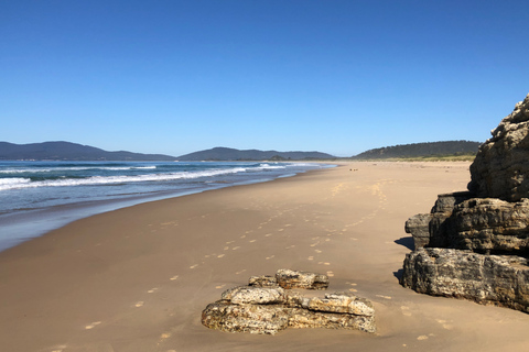 De Hobart: Excursão ativa de um dia pela Bruny Island AdventureDe Hobart: Bruny Island Nature e Produce Tour de dia inteiro