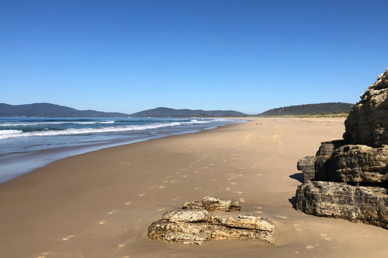 Van Hobart: Bruny Island Nature en Produce Full-Day Tour