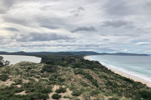 De Hobart: Excursão ativa de um dia pela Bruny Island AdventureDe Hobart: Bruny Island Nature e Produce Tour de dia inteiro