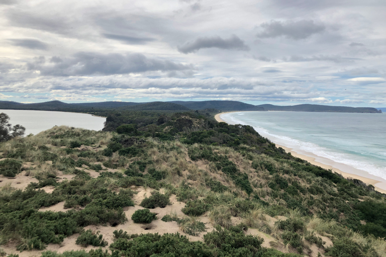 De Hobart: excursion d'une journée dans la nature et les produits de Bruny Island