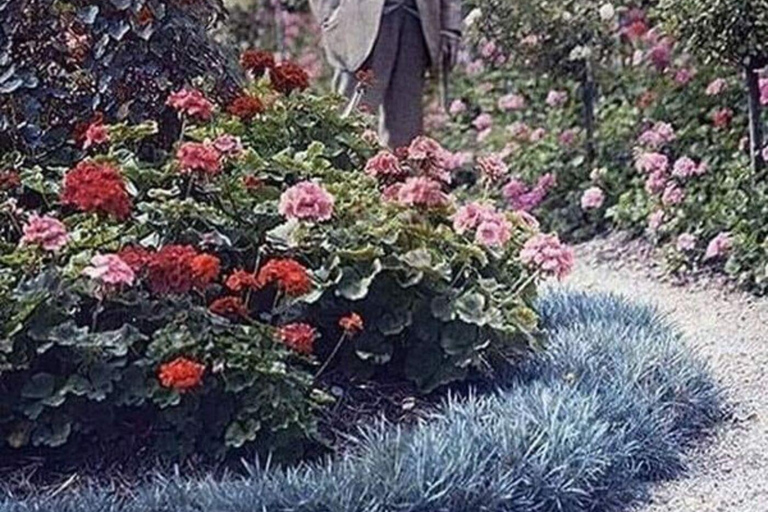 Paris: Private Guided Tour in Giverny Monet's House Paris: Private Guided Tour in Giverny Monet's House & Tast.