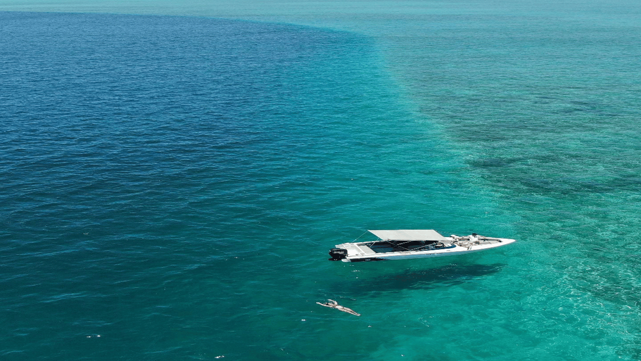 5 Inseln All-Inclusive Schnellboot mit Schnorcheln Seeschildkröte