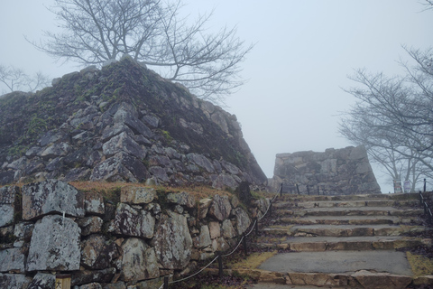 Hyogo: Takeda Castle “Castle in Sky” Mountain Hiking Tour