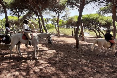 Cádiz Country side: Ride an Andalusian Horse