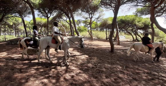 Cádiz Country side: Ride an Andalusian Horse