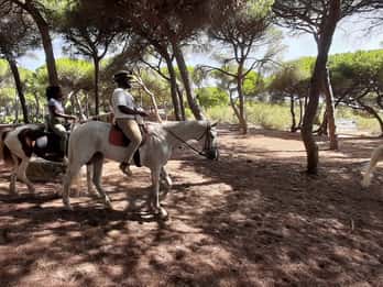 Campagna di Cadice: cavalca un cavallo andaluso