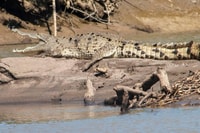 tour palo verde safari - Hizvo
