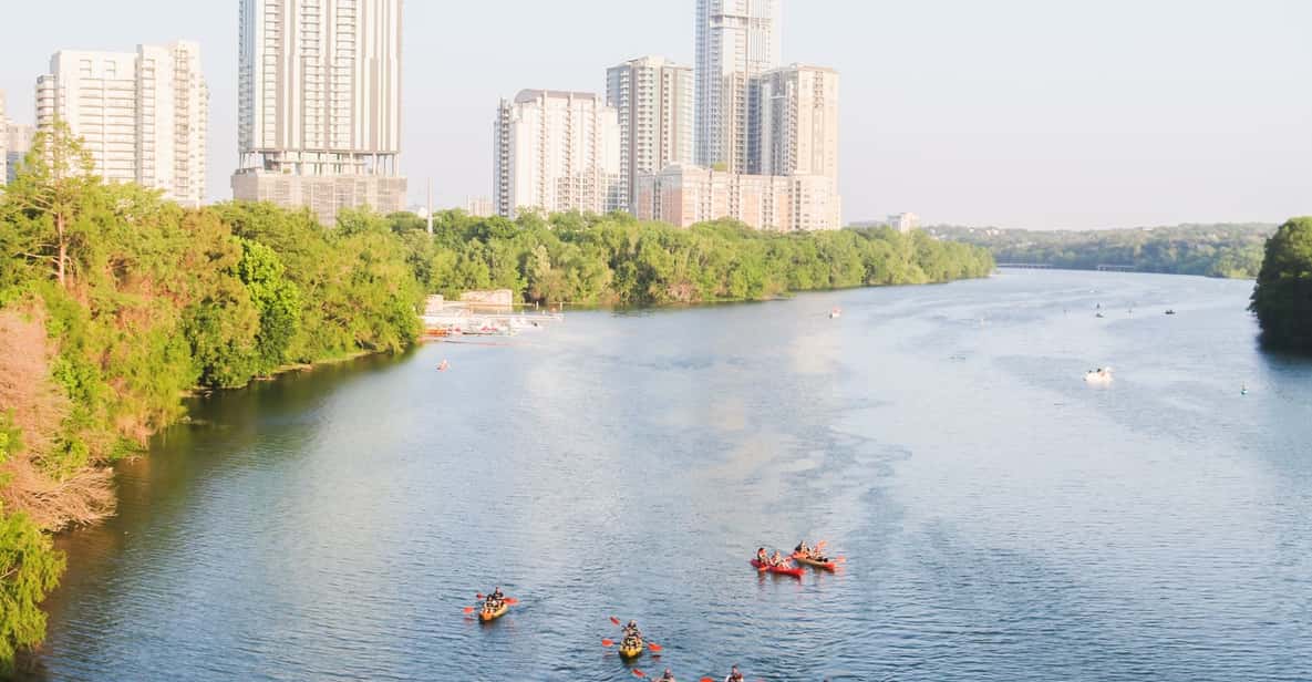 Austin Guided City Kayaking Tour GetYourGuide