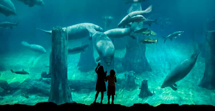 Singapore: River Wonders Entry Ticket