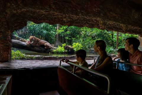 Singapour : billet pour le parc zoologique River Wonders
