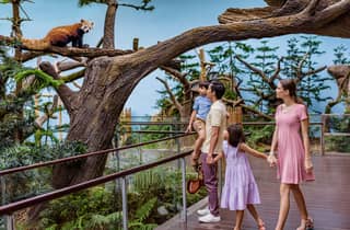 Singapur: Eintrittskarte für River Wonders