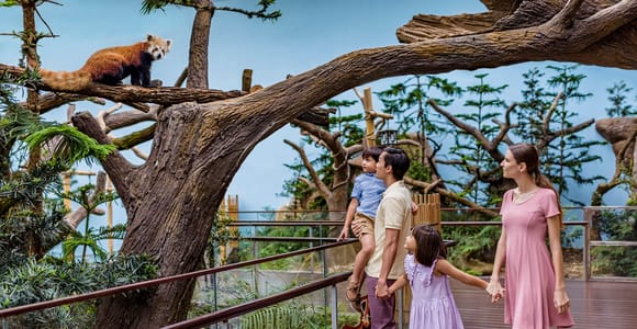 Singapore: River Wonders Entry Ticket