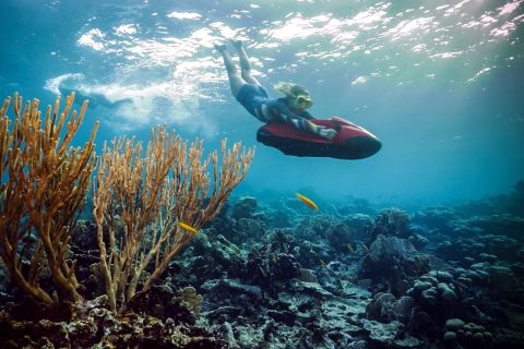 West Palm Beach: Snorkel and SeaBob Underwater Reef Tour