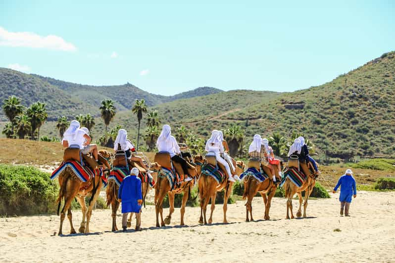 Los Cabos Excursión al Arco en lancha rápida y paseo en camello por la