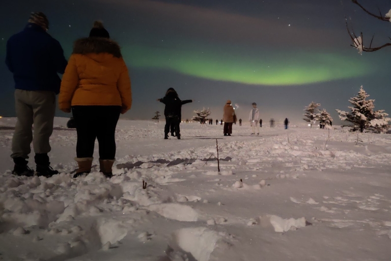 Depuis Reykjavik : observation des aurores boréales de 3,5 hVisite en anglais avec prise en charge à l’hôtel