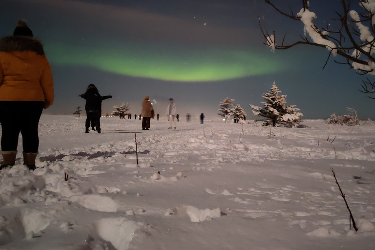 Depuis Reykjavik : observation des aurores boréales de 3,5 hVisite en anglais avec rendez-vous au point de rencontre