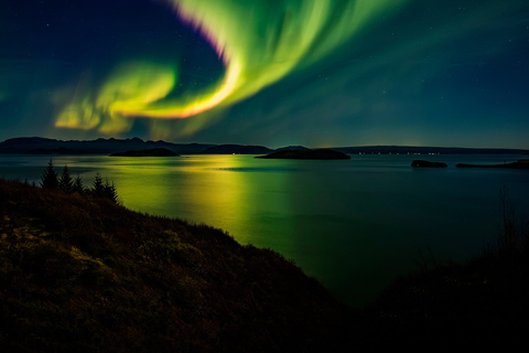 Depuis Reykjavik : observation des aurores boréales de 3,5 hVisite en anglais avec rendez-vous au point de rencontre