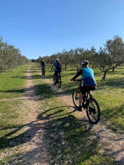 Skradin Parc Național Krka E Bike Adventure And Viewing Point Getyourguide