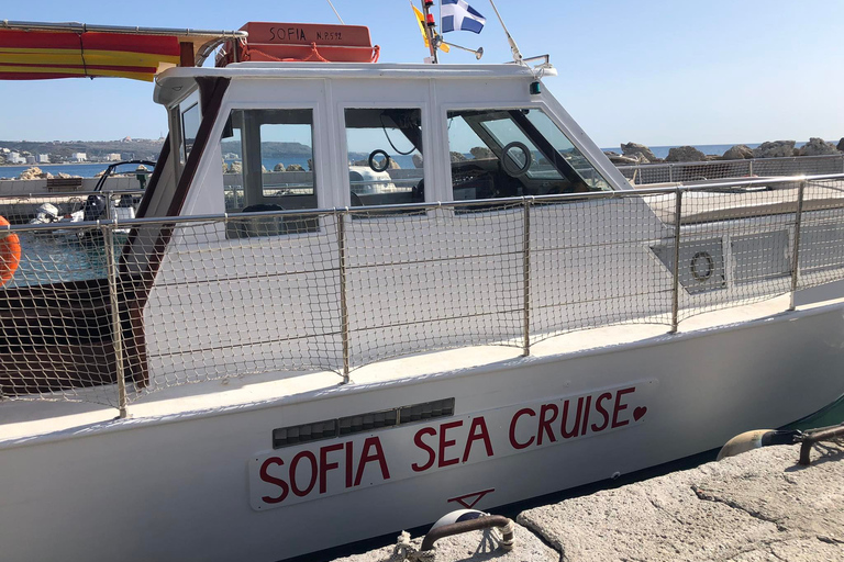 Faliraki: Viaje en barco a las bahías de Ladiko, Traganou y Antony Quinn