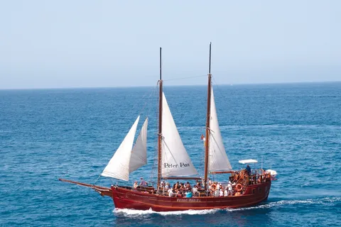 Los Cristianos: Whale-Watching Sailboat Tour 3 hrs and food.