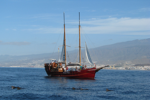 Los Cristianos: Walbeobachtungstour auf einem Peter Pan BootWhale Watching mit Bustransfer