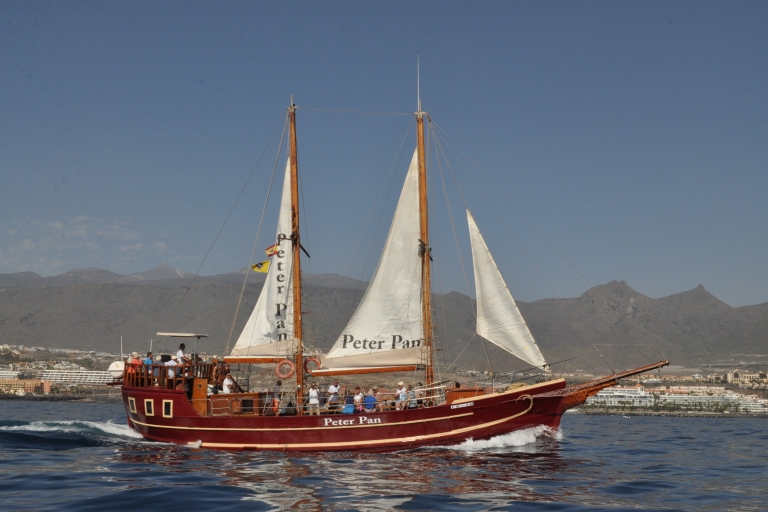 Los Cristianos: Whale Watching Cruise on a Peter Pan Boat Whale Watching with Meeting Point