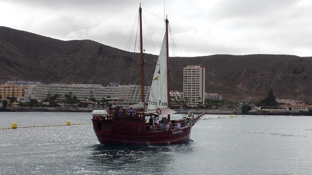 Visit Los Cristianos Whale-Watching Sailboat Tour and Soft Drinks in Arona, Tenerife, Spain