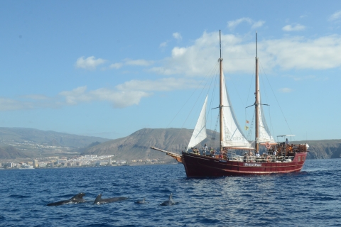 Los Cristianos : croisière d'observation des baleines sur un bateau Peter PanObservation des baleines avec point de rencontre