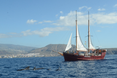 Los Cristianos: Whale-Watching Sailboat Tour 3 hrs and food.