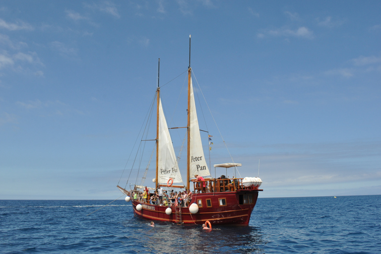 Los Cristianos: crucero de avistamiento de ballenas en un barco Peter PanAvistamiento de Ballenas con Punto de Encuentro