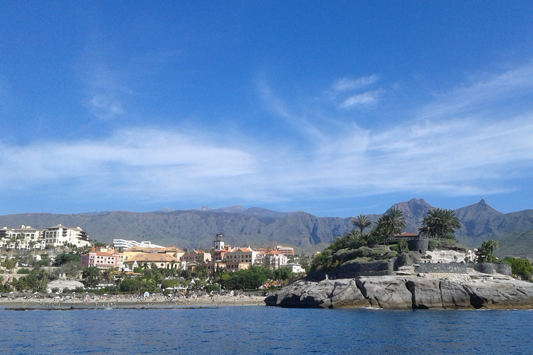 Los Cristianos: Whale-Watching Tour with Swimming StopBus Transfer to the Harbor