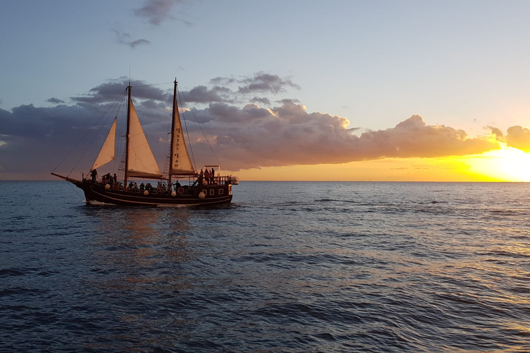 Los Cristianos: Whale-Watching Sailboat Tour 3 uur en eten.