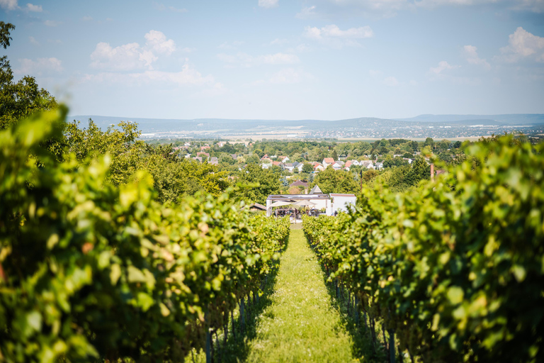 Budapest: Half-Day Wine Tour and Meal in Local Wine Village