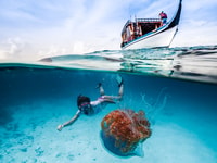 Bali, Ubud ATV y Blue Lagoon Snorkeling Tour con almuerzo - Hizvo