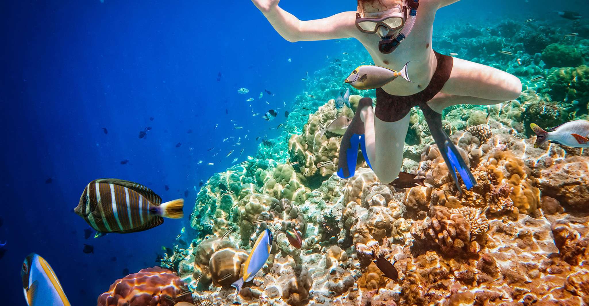Bali, Ubud VTT et Blue Lagoon Snorkeling Tour avec déjeuner - Hizvo