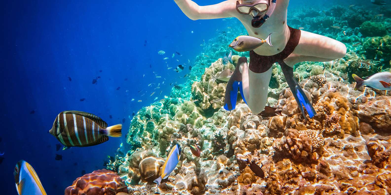 Bali: Ubud ATV and Blue Lagoon Snorkeling Tour with Lunch