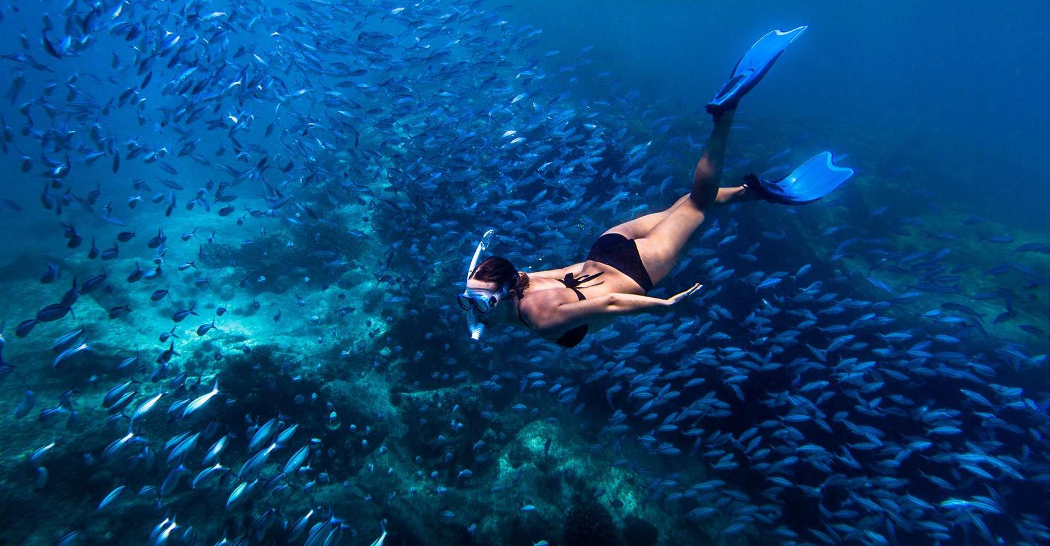 Bali, Ubud VTT et Blue Lagoon Snorkeling Tour avec déjeuner - Hizvo