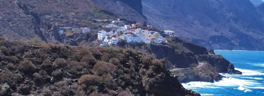 Tenerife : Excursion privée d'une journée à Taganana et Anaga avec prise en charge