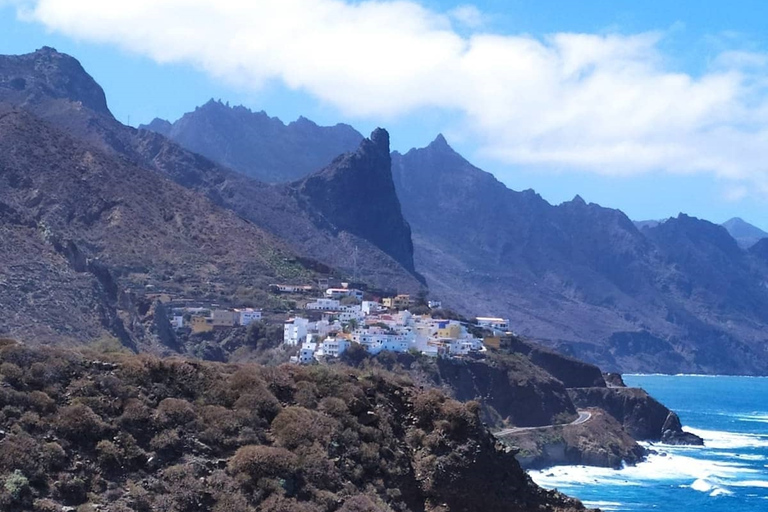 Tenerife: viagem privada de um dia a Taganana e Anaga com embarque