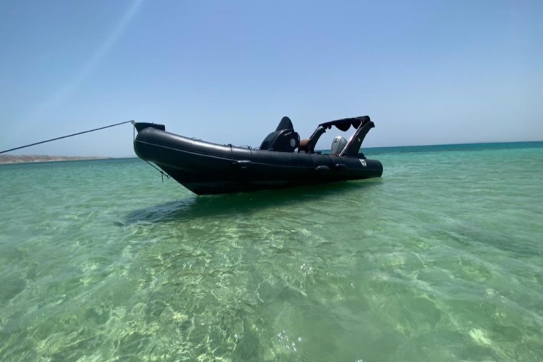 Hurghada : hors-bord observation des dauphins et snorkelingVisite en groupe